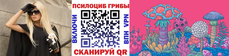 Галлюциногенные грибы GOLDEN TEACHER  где найти наркотики  Яхрома 